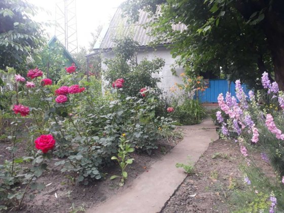 Продам дачу на Шевчике Запоріжжя