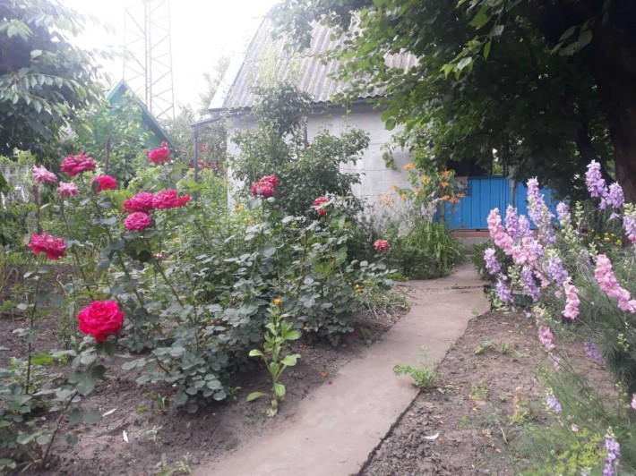 Продам дачу на Шевчике - фото 1