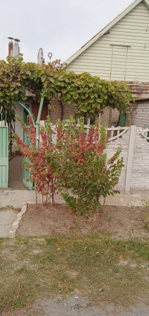 Продам пів будинку - фото 1