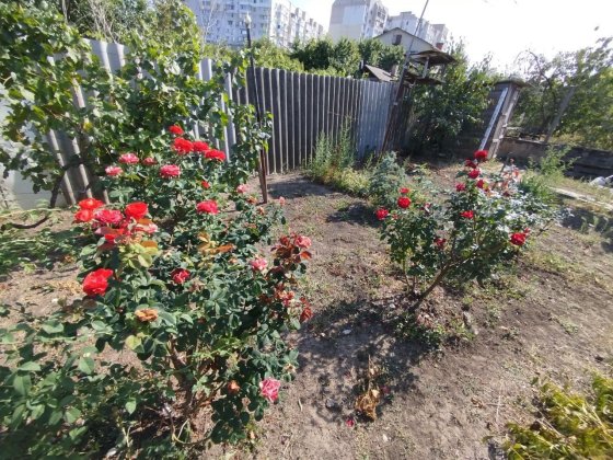 Продается дом на Слободке. 12 соток, Госакт