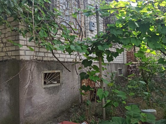 Дача не приватизированная Миколаїв