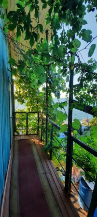 ‼️122 Причал‼️ 3  Совиньон Арка ‼️Вид на Море‼️ - фото 1