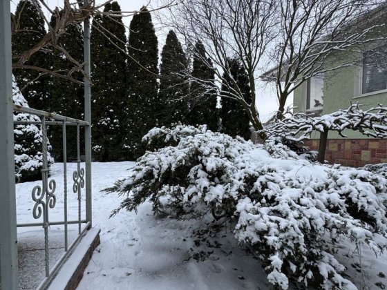 Продається якісний одноповерховий будинок, гостьовий будинок, ландшафт Кропивницький