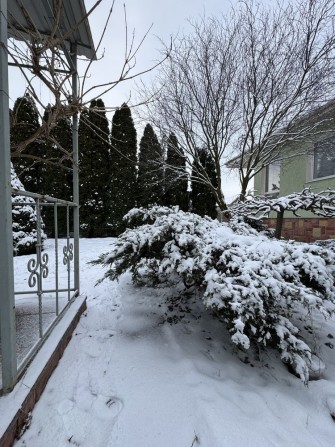 Продається якісний одноповерховий будинок, гостьовий будинок, ландшафт - фото 1