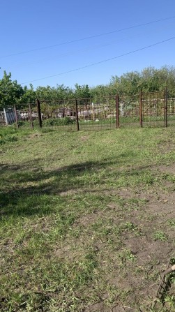 Продам дачу  ст Свитанок - фото 1