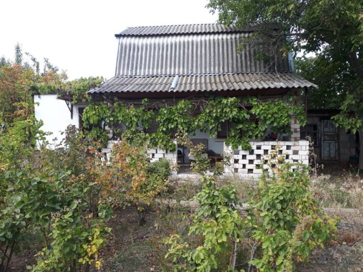 Продается дача в Пересадовке . - фото 1