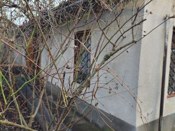 Продам дом 8 станция Люстдорфской дороги