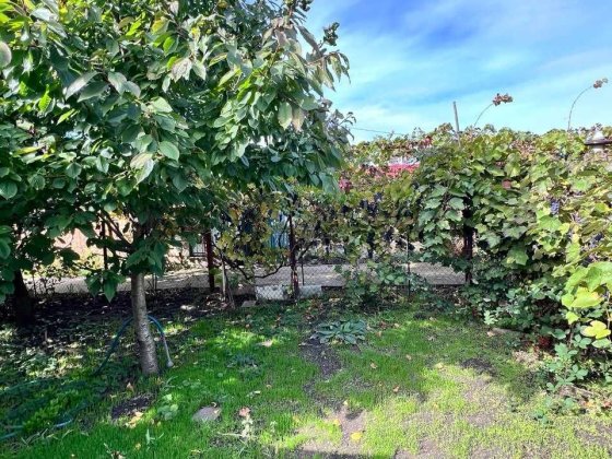 Продам затишний будинок на Фонтані — всього 10 хвилин до моря! Одеса