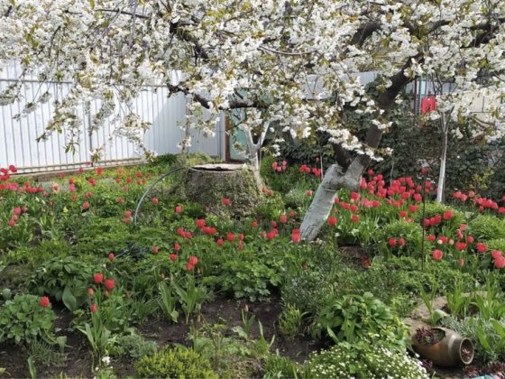 ПРОДАМ Дом на Таирова Костанди