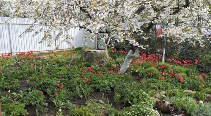 ПРОДАМ Дом на Таирова Костанди - фото 1