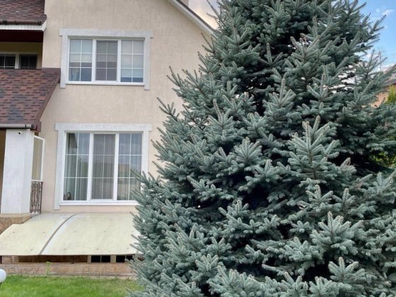 229 тыс.$‼️ТОРГ‼️Продам дом Флоринка‼️Продажа дома Родичи Харків