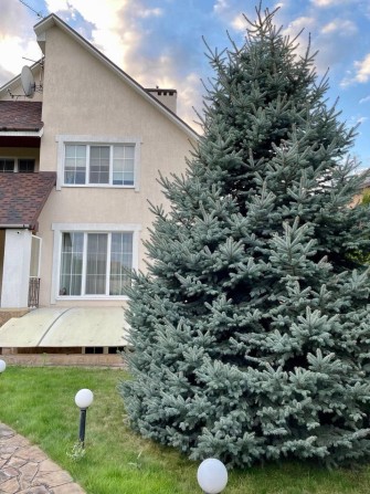 229 тыс.$‼️ТОРГ‼️Продам дом Флоринка‼️Продажа дома Родичи - фото 1