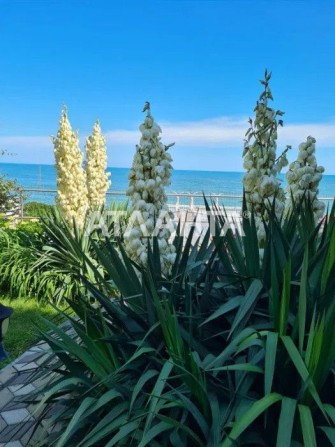 Дом в первой линии у моря - фото 1