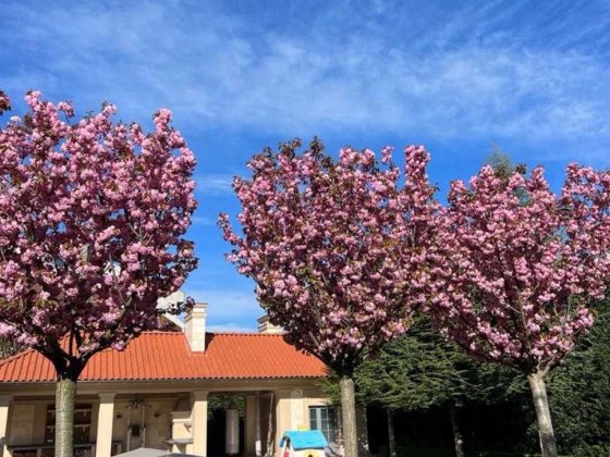 Особняк на 20-ти сотках! Закрытый кооператив! 11 ст.Б.Фонтана! 1A37