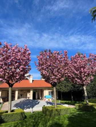 Особняк на 20-ти сотках! Закрытый кооператив! 11 ст.Б.Фонтана! 1A37 - фото 1