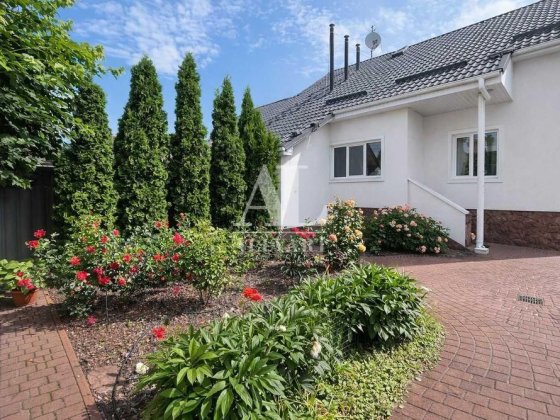 Будинок 254 м² з фасадним бізнес-приміщенням 34м2, ділянка 8 соток Петропавлівська Борщагівка