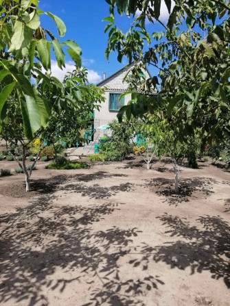 Сдам  3 к дом, р-н левого берега. - фото 1