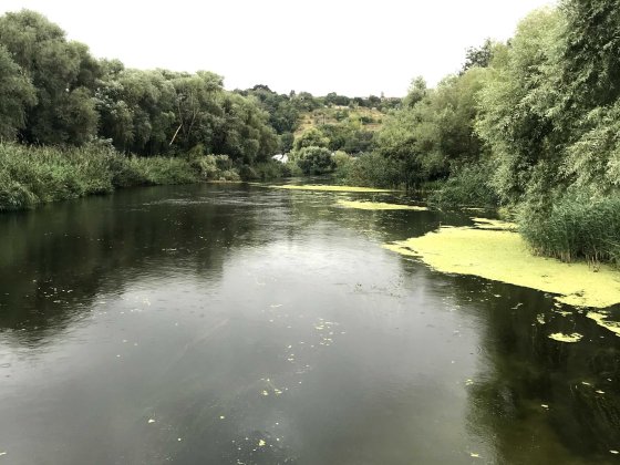 Сдам домик 1-2 чел. берег реки под активный отдых, рыбалку, каякинг Змиев