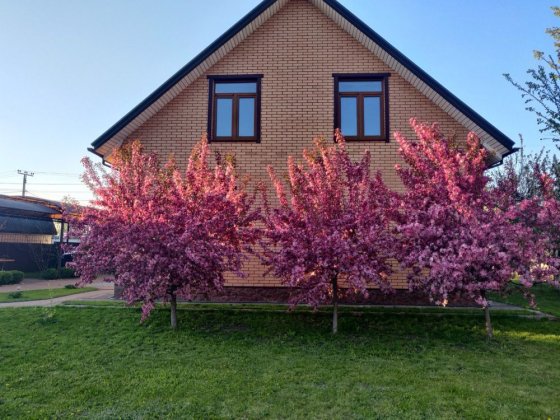 Оренда будинку Бориспіль Аренда дома Борисполь Борисполь