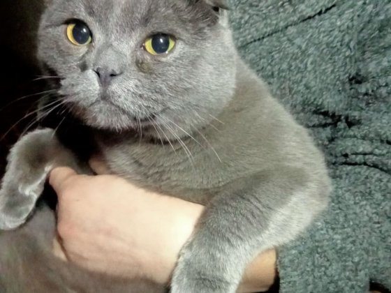 Здам часть дома на дослидной Полтава