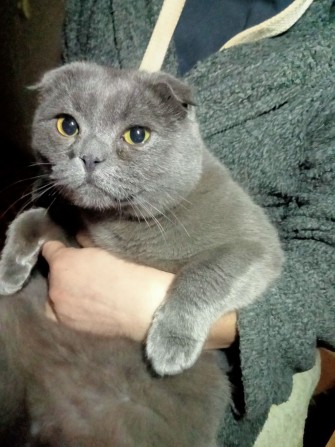 Здам часть дома на дослидной - фото 1