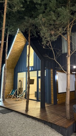 Оренда будинку для вісьмох - фото 1