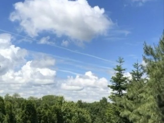 Оренда будинку в Ужгороді Ужгород