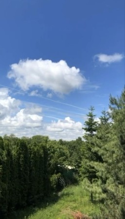 Оренда будинку в Ужгороді - фото 1