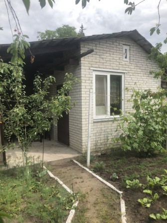 Дачный массив Осокорки . - фото 1