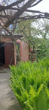 Житло на биківні - фото 1