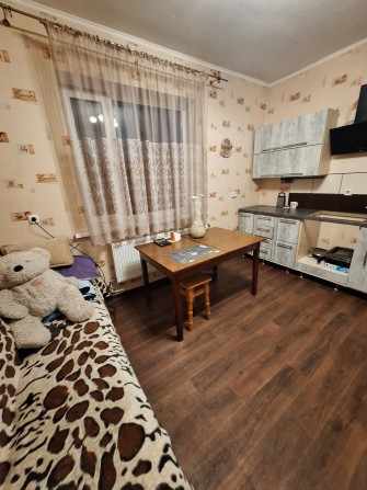 Сдам в аренду дом 100м2 правый берег Днепр - фото 1