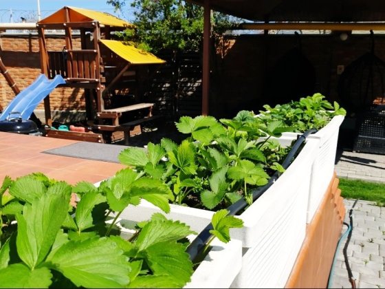 Здам в оренду котедж у приватному селищі "Біла Квітка"