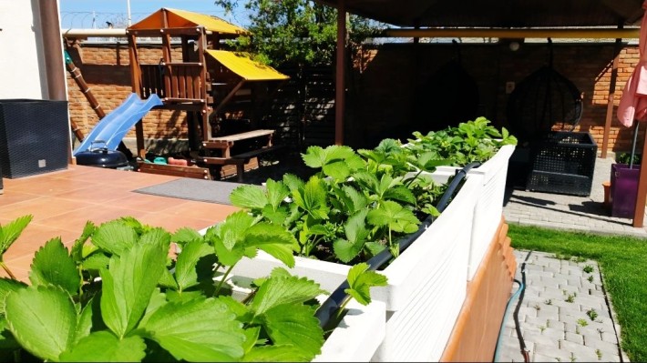 Здам в оренду котедж у приватному селищі "Біла Квітка" - фото 1