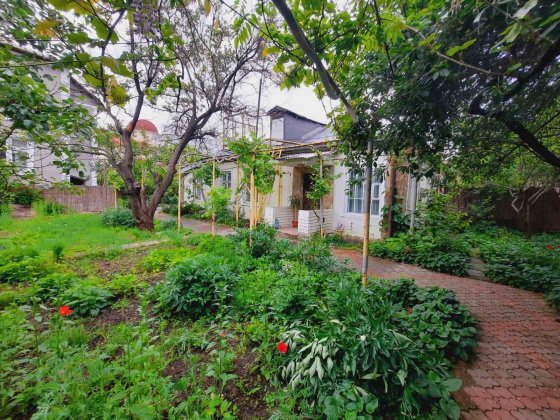 Сдам домик Аркадия 3 к+ кабинет,большой участок, животных можно!