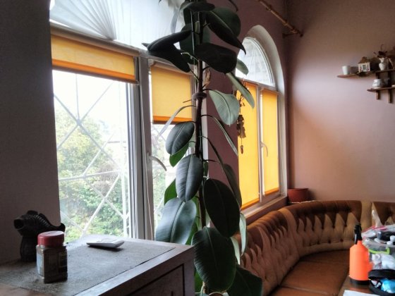 Сдам супер домик Нерубайское 2 к + кухня студия.15 мин от Привоза !