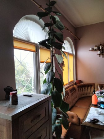 Сдам супер домик Нерубайское 2 к + кухня студия.15 мин от Привоза ! - фото 1