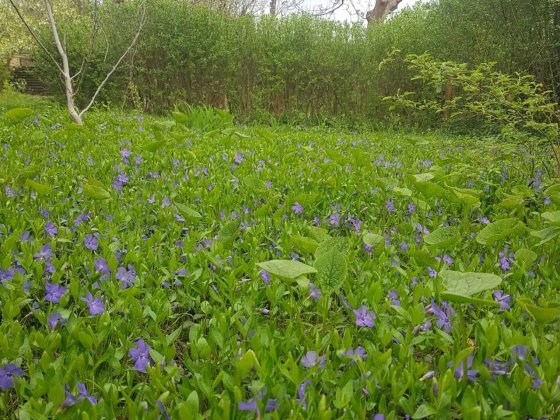 пр. Науки 65, Павлово поле, сдам дачный участок на лето Харків