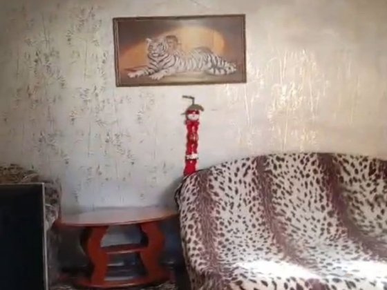 Оренда,  будинок вул. Хутірська Одеса