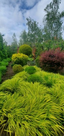 Комфортний будинок с бассейном - фото 1