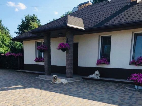 Здам в оренду Будинок у Процеві (дамба Проців-Кийлів) без комісії Процев