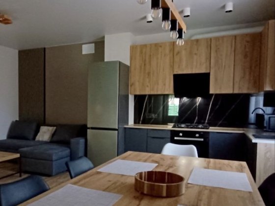 Сдам дом Новосілки Хотянівка вихід на десну Хотяновка