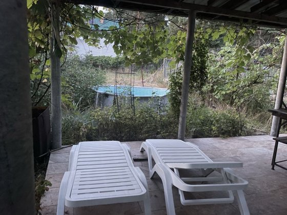 Дача у сосновому лісі у довгострокову сезонну оренду Хотяновка