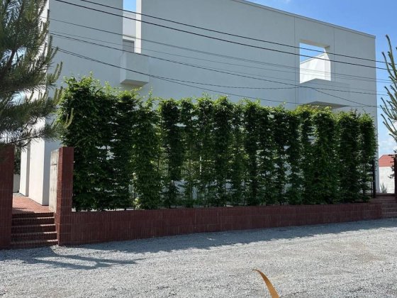 Оренда будинку планування Open Space. Коворкінг і житлова зона.. Рудне