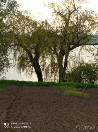 Продам будинок на березі Дніпра власний берег річки 25 соток землі - фото 1