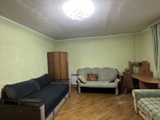 Здається в оренду 1к квартира поруч Бучанський парк Гостомель