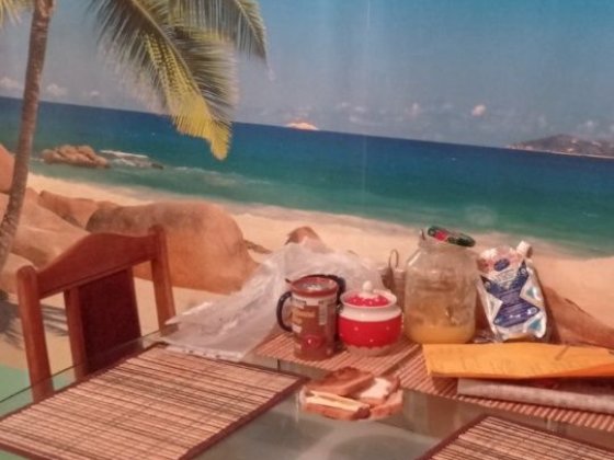 3-комнатная квартира на 1 этаже с автономным газ.отоплением в Дружковк Дружковка