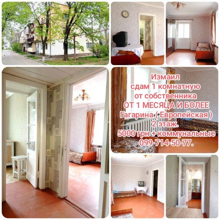 Сдам 1 комнатную ОТ 1 МЕСЯЦА Гагарина от собственника - фото 1
