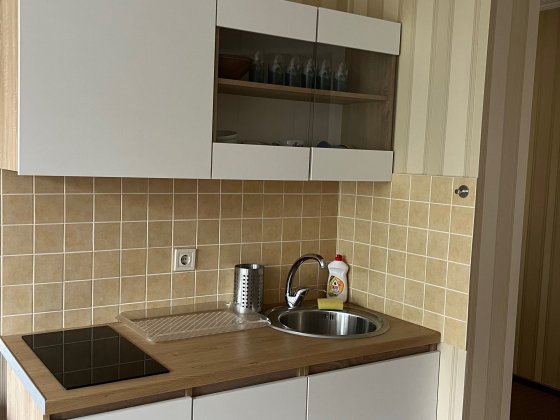 Довготривала оренда квартири у м. Трускавець Трускавець