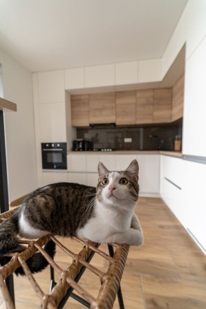 Оренда 1кім квартири 45м2 Івано-Франківськ - фото 1