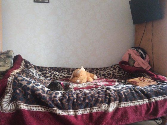 Сдам свою квартиру, Погребы, без посредников Погребы